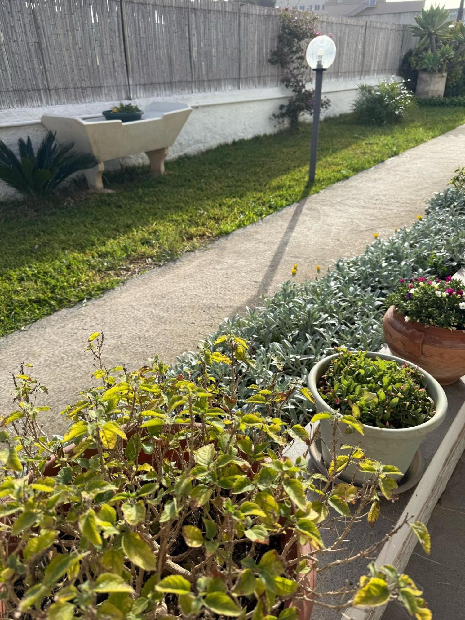 A Casa Di Coso B&B Марсала Екстер'єр фото